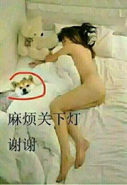 麻烦关下灯，谢谢！（doge）