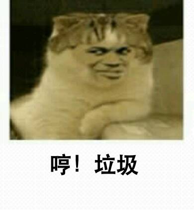 哼！垃圾（教皇小猫）