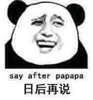 日后再说（say after papapa）