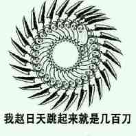 我赵日天跳起来就是几百刀