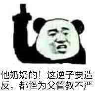 他奶奶的！这逆子要造反，都怪为父管教不严！