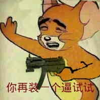 你再装一个副试试 - jerry 恶搞版
