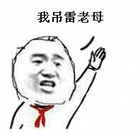 我吊雷老母