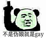 不是伪娘就是gay