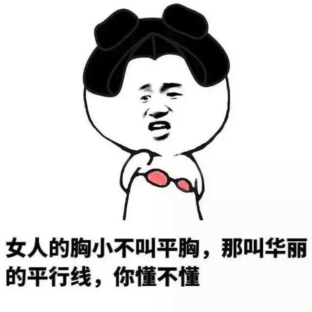 女人的胸小不叫平胸，那叫华丽的平行线，你懂不懂？