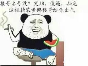 报哥名号没？哭JB，傻逼，抽完这根精装黄鹤楼哥给你出气！