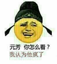 元芳，你怎么看？我认为他疯了！