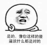 是的，像你这样的傻逼说什么都是对的（金馆长）