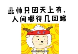 此帅只因天上有，w人间哪得几回瞅