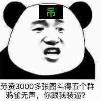 劳资3000多张图斗得五个群鸦雀无声，你跟我装逼？