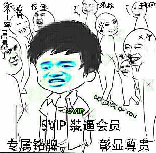 专属铭牌，彰显尊贵 - SVIP装逼会员