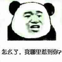 怎么了，我哪里惹到你了？（熊猫人张学友）