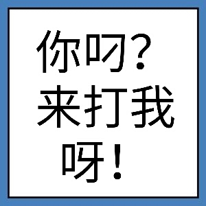 你叼？来打我呀！