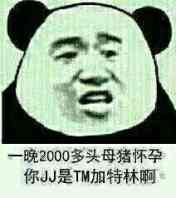 一晚2000多头母猪怀孕，你JJ是TM加特林啊！