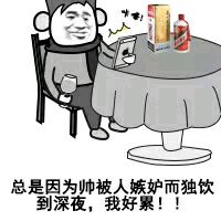 总是因为帅被人嫉妒而独饮到深夜，我好累！