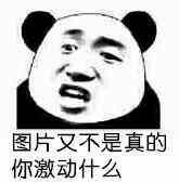 图片又不是真的，你激动什么？