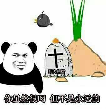 你虽然很叼，但不是永远的