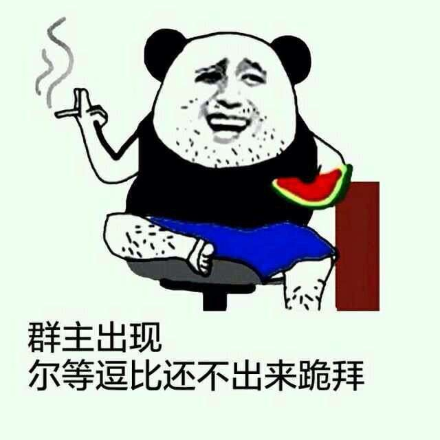 群主出现，尔等逗比还不出来跪拜