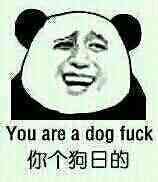 你个狗日的（you are a dog fuck）