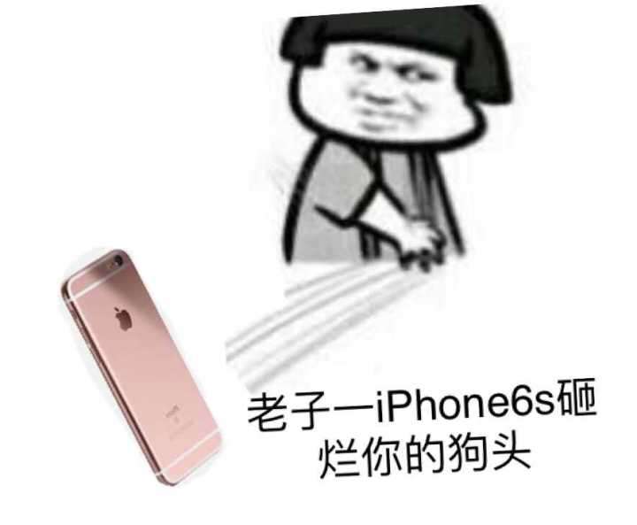 老子一个iPhone 6s砸烂你的狗头