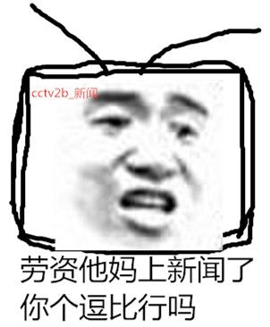 劳资他妈上新闻了，你个逗比。。（CCTV2b_新闻）