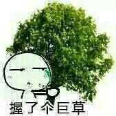 握了个巨草