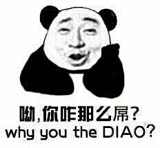 哟，你咋的那么屌！（why you the diao）