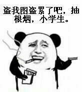 盗我图盗累了吧，抽根烟，小学生！