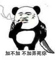 加不加，不加弄死你