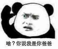 啥？你说我是你爸爸？