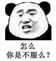 怎么，你是不服么？