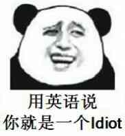 用英语说，你就是一个idiot