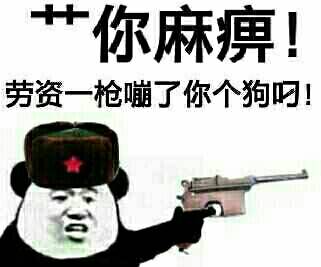 艹你麻痹！劳资一枪嘣了你个狗叼！