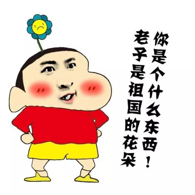 老子是祖国的花朵 你是个什么东西！（蜡笔小新）