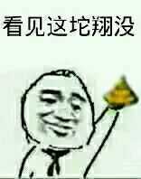 看见这坨翔没 
