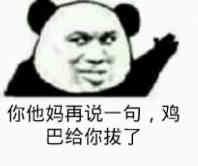 你他妈再说一句，鸡巴给你拔了！（熊猫人教皇）