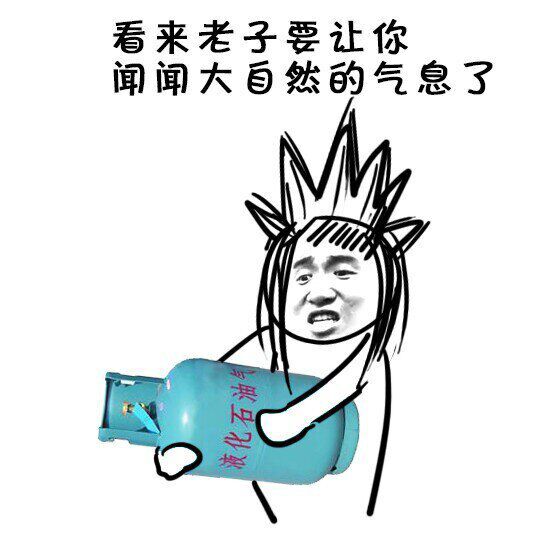看来老子要让你闻闻大自然的气息了！（液化石油气）