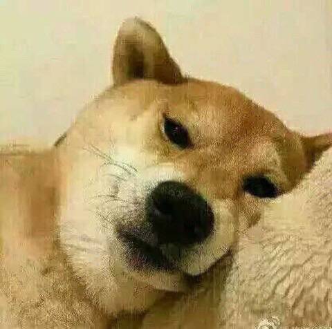 小黄狗（doge）