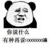 你说什么？有种再说10000000遍