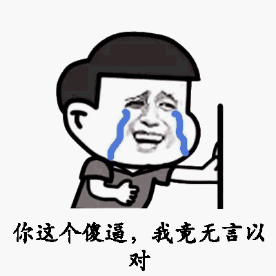 你这个傻逼，我竟无言以对啊！