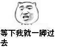 等下我就一脚过去！（猫脸）