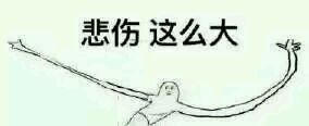悲伤这么大！（双手打开）