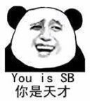 你是天才（you is sb）