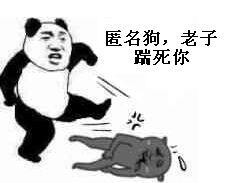 匿名狗，老子踹死你