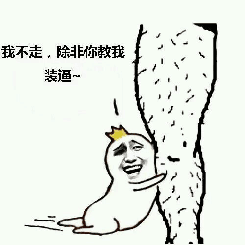 我不走，除非你教我装逼！（抱大腿）