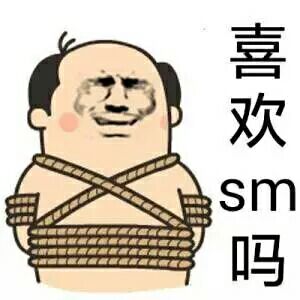 喜欢SM