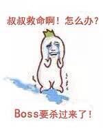 叔叔救命啊！怎么办？BOSS要杀过来了！（金馆长罗罗布哭了）