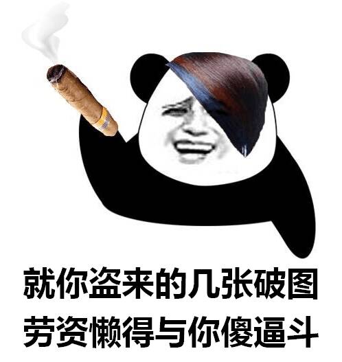 就你盗来的几张破图，劳资懒得与你傻逼斗！