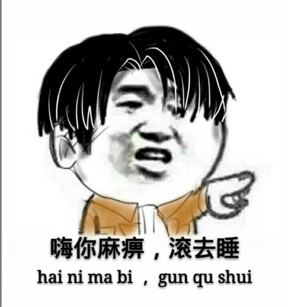 嗨你麻痹，滚动睡！（hai ni ma bi, gun qu shui）