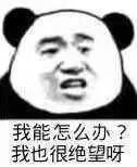 我能怎么办？我也很绝望呀！